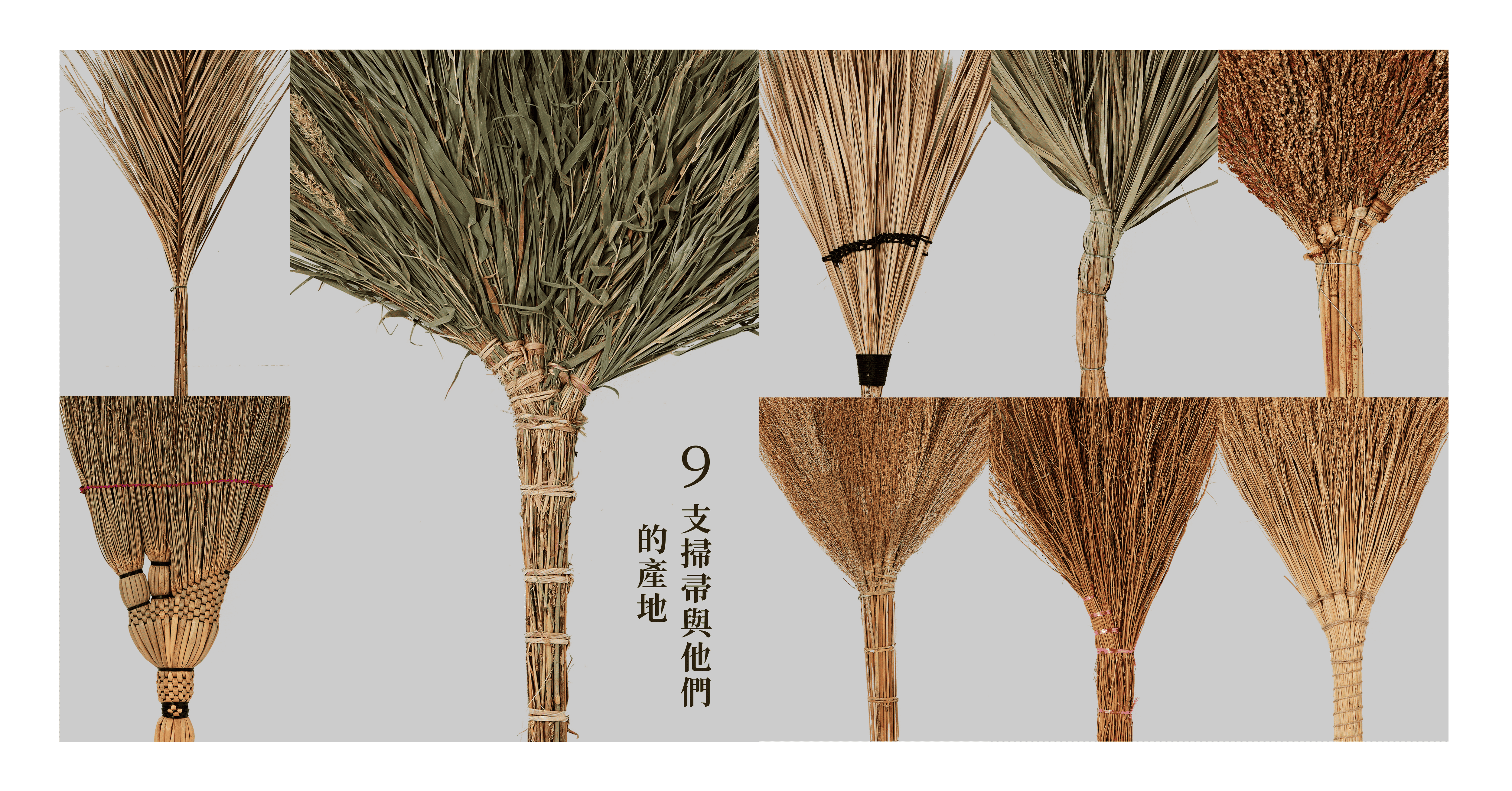臺灣掃帚