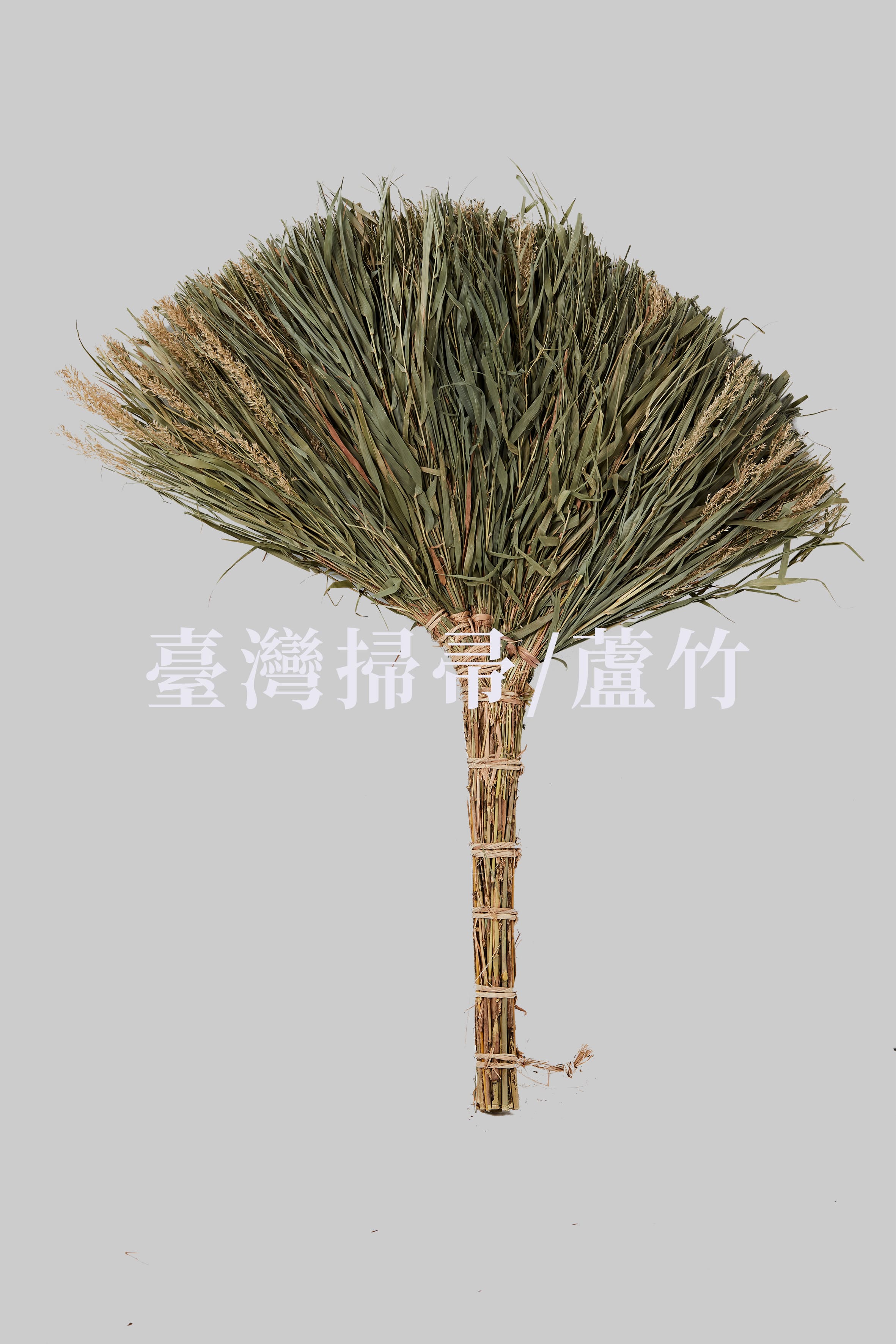 蘆竹掃帚